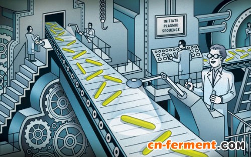 Nature：当细菌碰上合成生物学，会碰撞出什么火花？