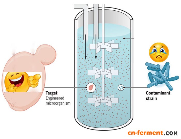 工程菌&ldquo;健身&rdquo;新思路 &mdash;&mdash;异生素辅佐工业菌株战胜发酵中杂菌污染