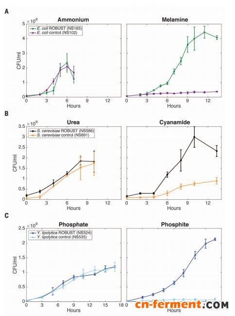 图2  葡萄糖培养基中的竞争优势