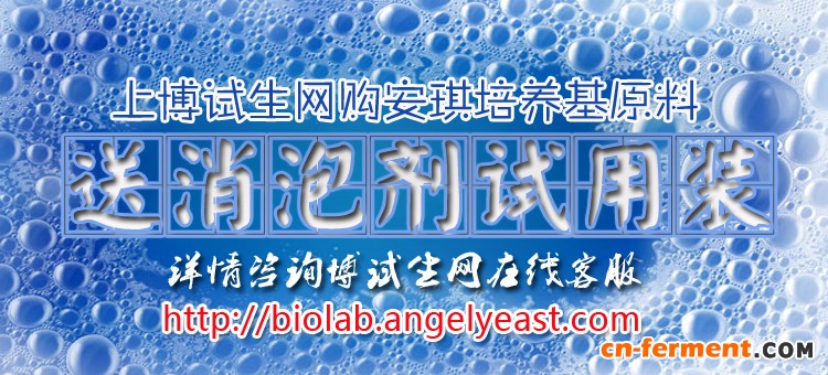 安琪参加中国乳制品工业协会年会