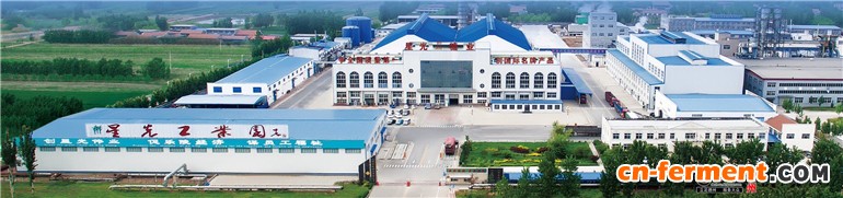 星光糖业全景图