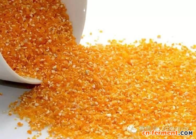 　新型塑料-&ldquo;玉米塑料&rdquo;-聚乳酸