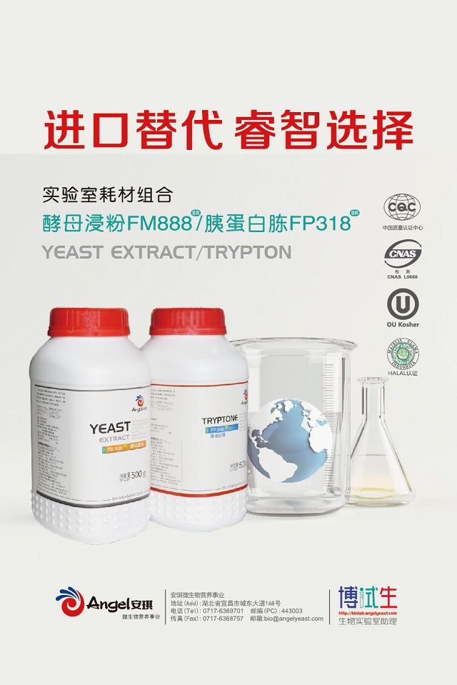 安琪与您相约第77届中国国际医药原料展(API China)