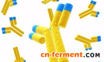 636097909366412735910 (1).jpg