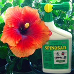 浙工大郑裕国团队及浙江海正药业：多杀菌素在异源表达宿主糖多孢红霉菌中实现高产