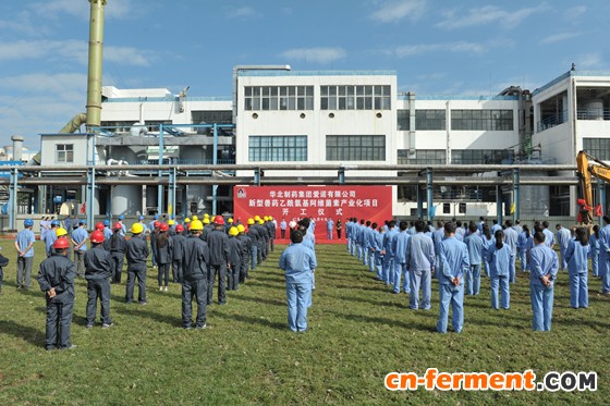 华药新型兽药乙酰氨基阿维菌素产业化项目开工