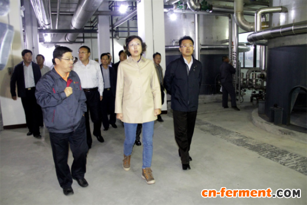 威海市市长等相关领导在总经理马兆强的解说陪同下参观生产车间