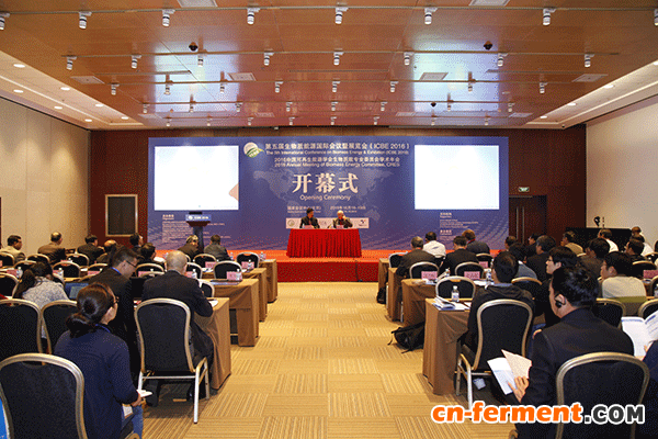 第五届生物质能源国际会议暨展览会开幕式