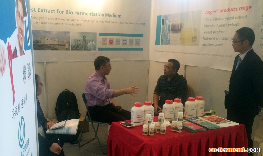 安琪参加第十三届国际工业微生物遗传学大会