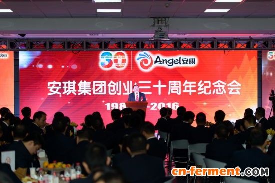 纪念安琪集团创业三十周年纪念会现场