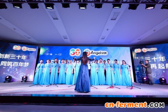 集团公司党委副书记刘忠诚做纪念安琪创业30周年活动总结