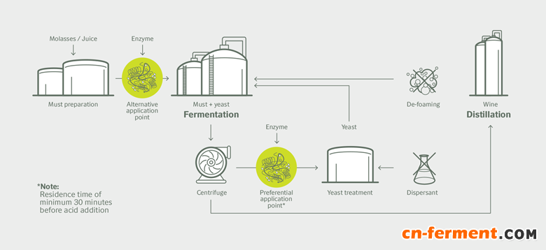 诺维信新推世界首个生物泡沫控制剂&mdash;Fermax&trade;