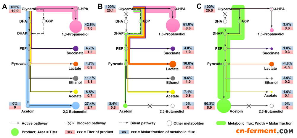 佛里德兰德氏杆菌中沉默基因glp的激活使甘油代谢途径中碳流走向乙偶姻的生成