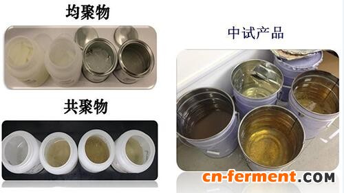 聚乳酸聚氨酯