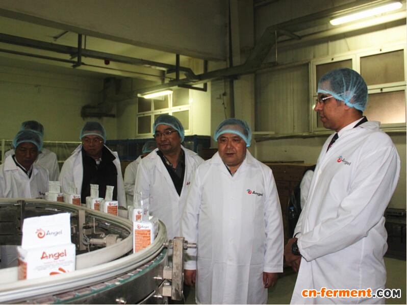 湖北省副省长许克振一行考察安琪埃及公司