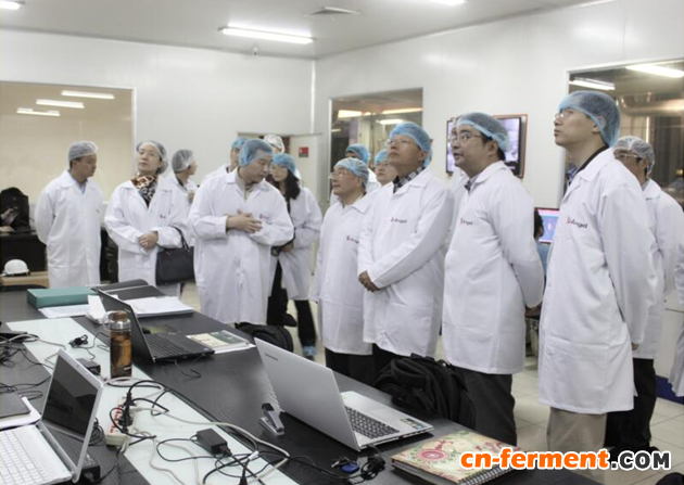 中国驻埃及使馆大使宋爱国一行考察安琪埃及公司