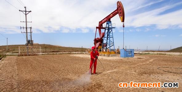 中俄合作研究微生物采油技术 低耗高效且环保