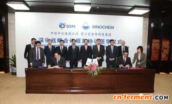 全球原料药巨头DSM境外起诉国药威奇达！