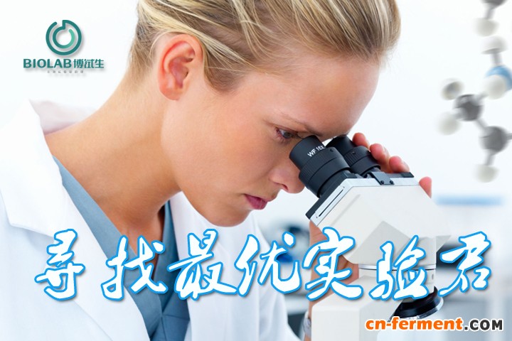 博试生网寻找最优实验君