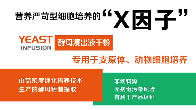 李晓燕：生物发酵产业现状及未来发展趋势