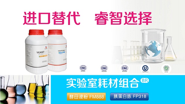 李江华：枯草芽孢杆菌代谢工程与氮源优化研究进展