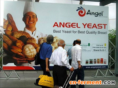 安琪酵母的国际化之路