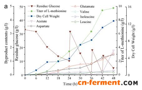 图a:大肠杆菌&Delta;metJ&Delta;metI&Delta;lysA /  pTrcA*H在5L生物反应器中的培养概况