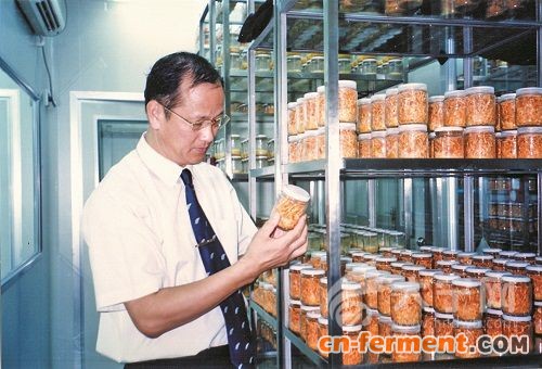 高益槐在实验室进行研究。