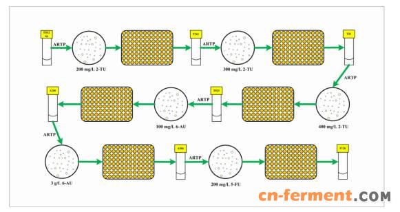 天津科技大学：ARTP联合高通量筛选技术选育 高产尿苷生产菌