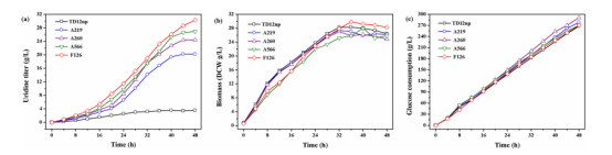 天津科技大学：ARTP联合高通量筛选技术选育 高产尿苷生产菌