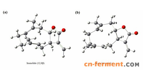 图1.CYP71BL6酶催化C12,8内酯基团形成