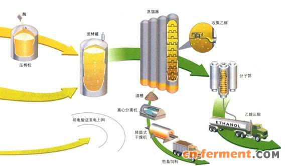 东北玉米市场又添新军 60万吨生物燃料乙醇项目落户富锦