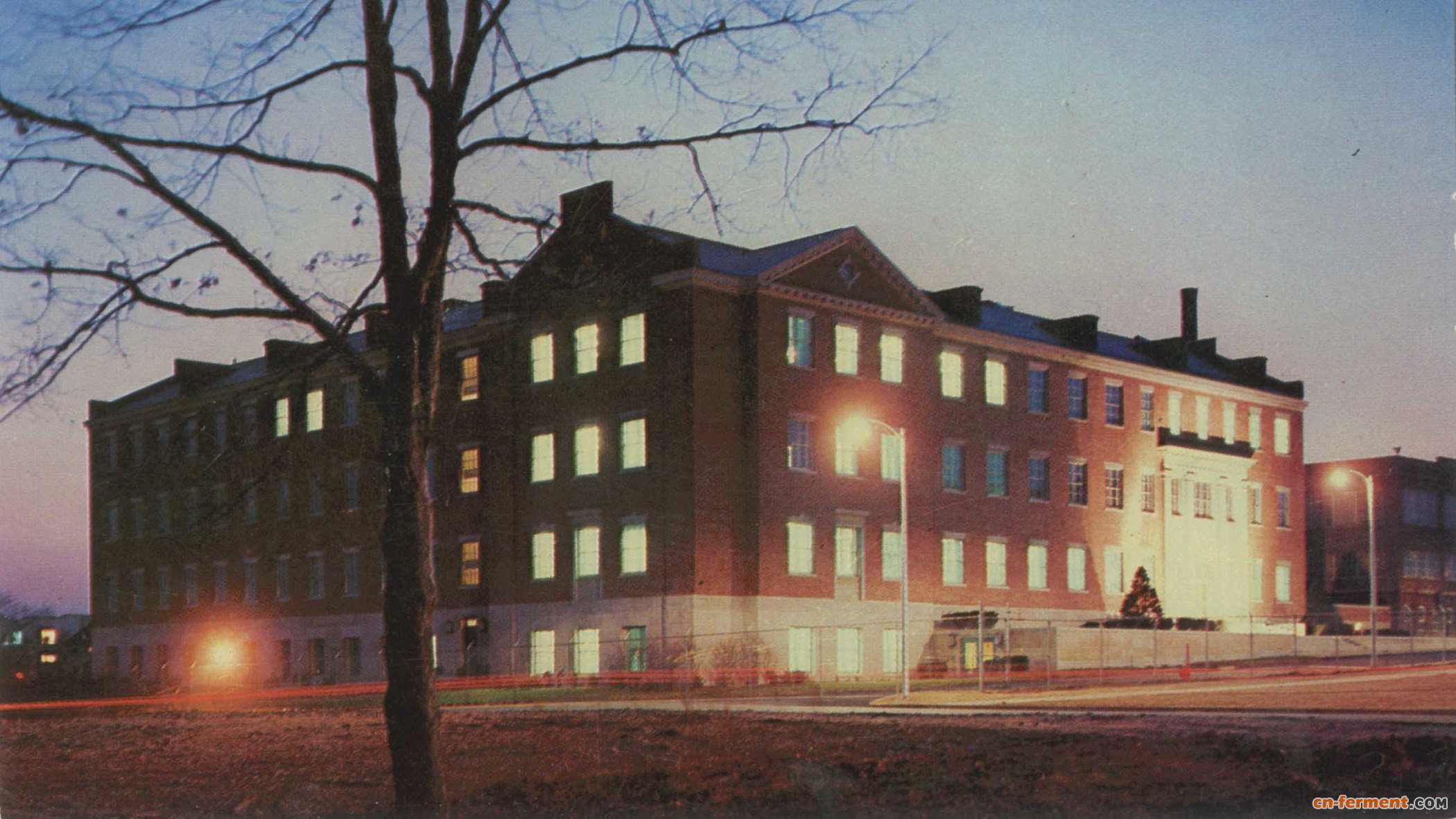 昔日奇迹之药促进小鸡生长:金霉素撬动农业大结构