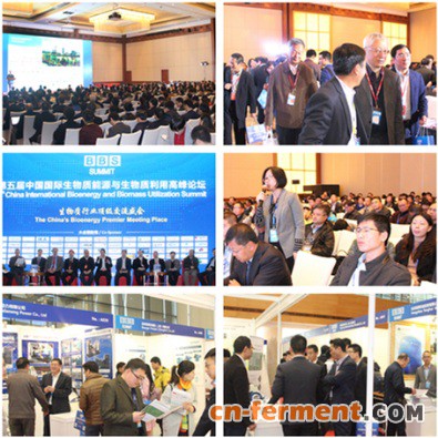 BBS 2018第六届生物质论坛为行业代言