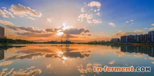 即日起，启元药业、伊品生物、泰瑞制药全面停产整治！