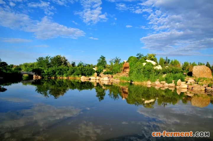 即日起，启元药业、伊品生物、泰瑞制药全面停产整治！