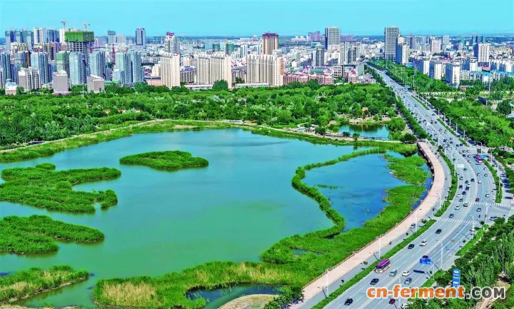 即日起，启元药业、伊品生物、泰瑞制药全面停产整治！