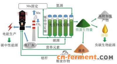 微藻不仅能吃下雾霾元凶，还能产出上等生物油脂