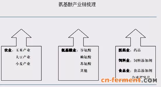 氨基酸产业链梳理