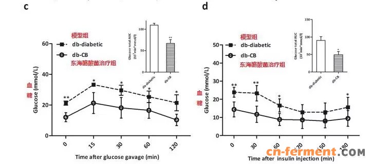 改善胰岛素抵抗，调节血糖