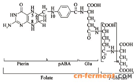 叶酸结构式