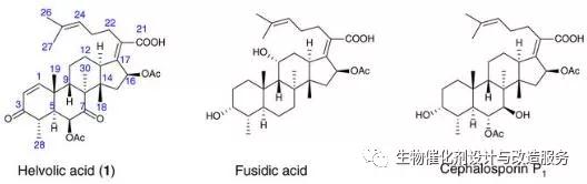 暨南大学姚新生团队：发现不同于甾体生物合成的C-4去甲基反应