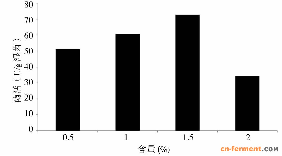 图 2 花生油含量对酶活的影响