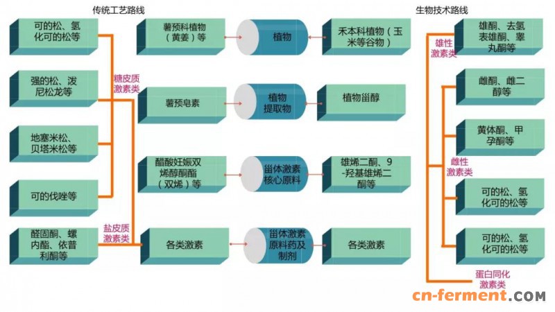 甾体药物的产业链情况