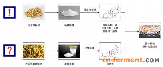 激素类产品主要产业链关系