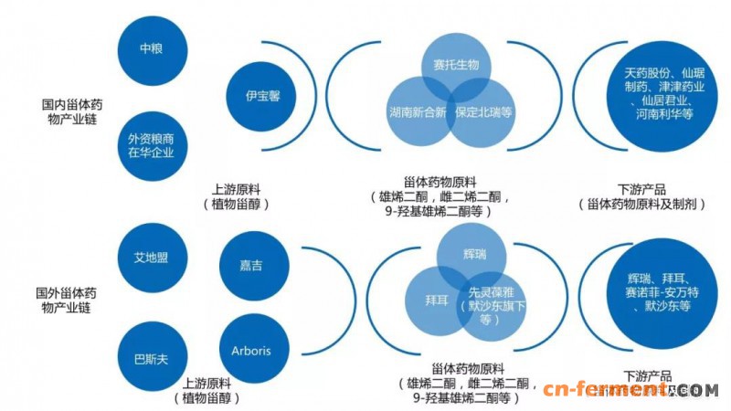以植物甾醇为原料的产业链情况大致如下