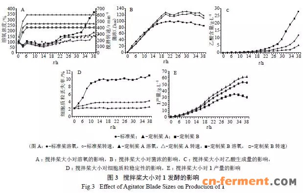 不同搅拌桨大小对发酵的影响