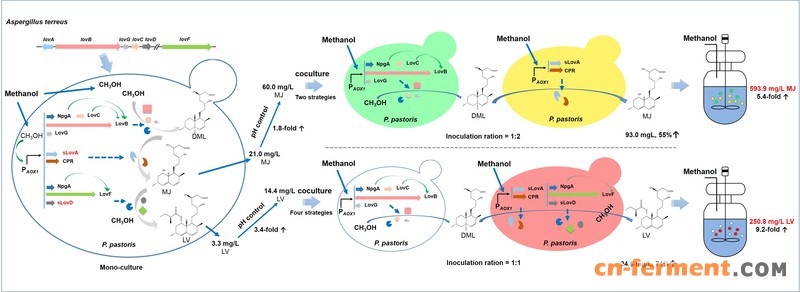 张元兴教授团队蔡孟浩研究组关于甲醇酵母合成生物学方面的最新研究进展