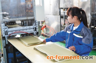 河南南乐县兴起玉米绿色新产业