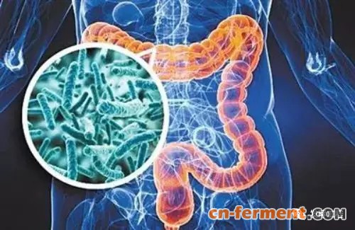 中药发酵研究纳入中科院&ldquo;微生物组计划&rdquo;